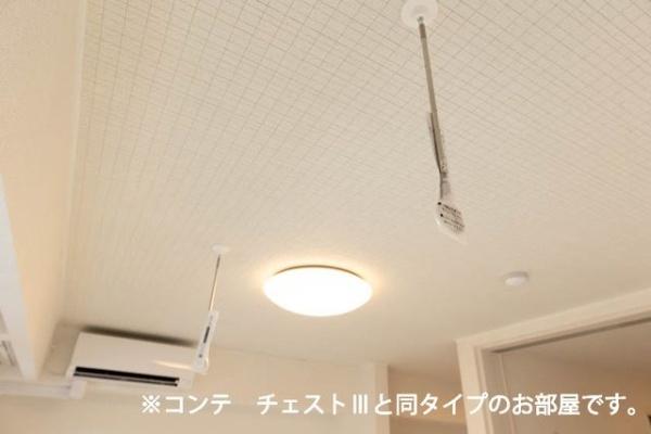 クルタ　ラプシ