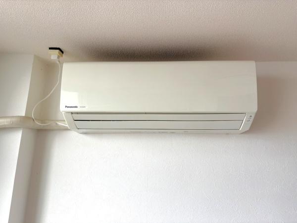 センバ＆フェニックス