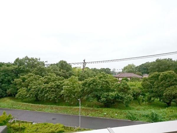 レイクガーデン