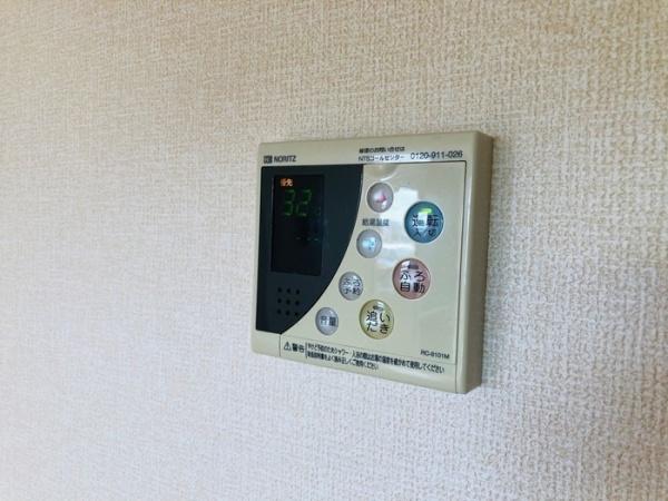 ヴェルドミール