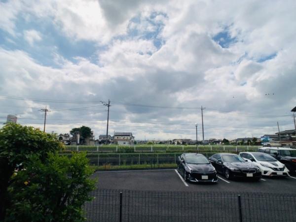 ヴェルドミール