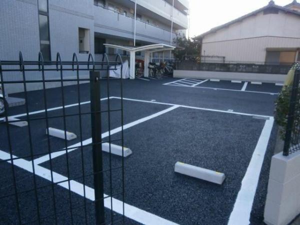 サンゴールドシマムラ