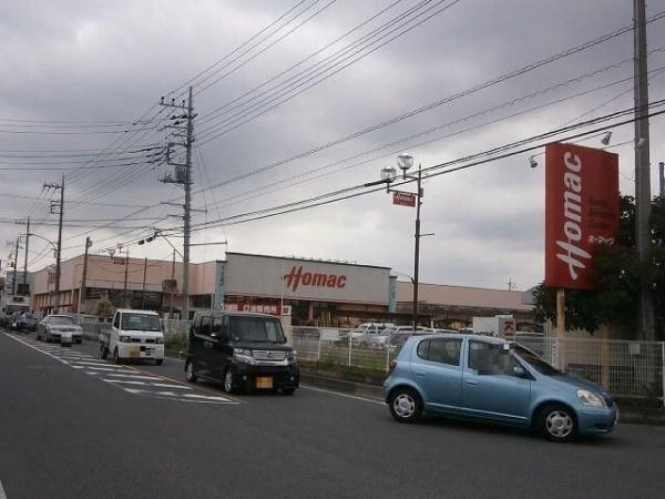 サンゴールドシマムラ