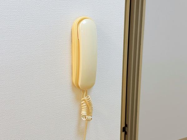 セルアーモ・大和田仙波