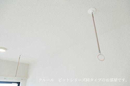 ノーヴル