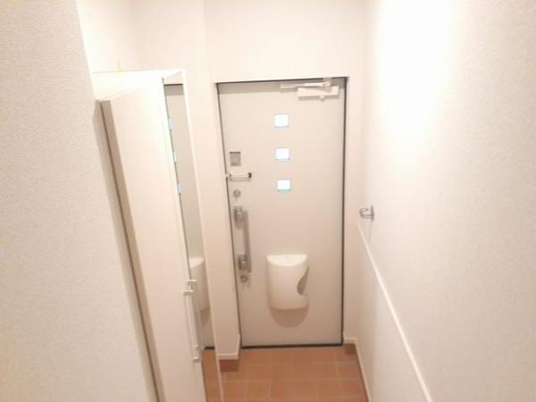 チェストナットフィールド　光