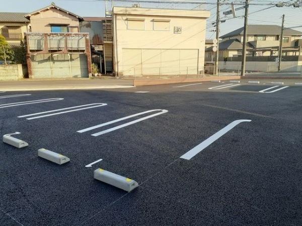 チェストナットフィールド　光