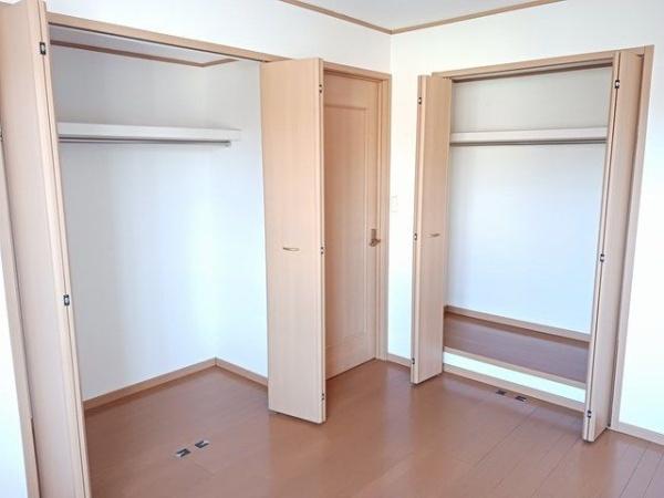 ステラ　２