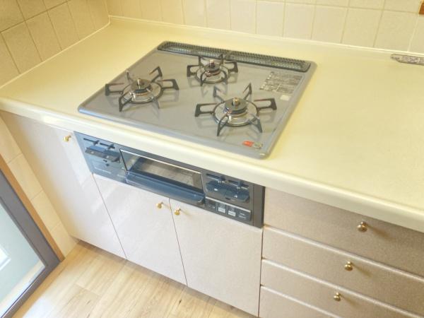 レクセルマンション北浦和公園