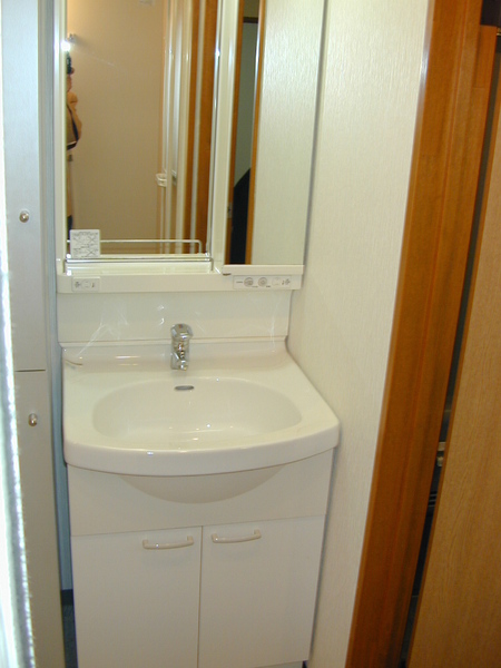 グランデ岸町(洗面台・洗面所)