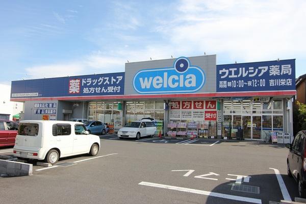 平沼ハイツ(ウエルシア吉川栄店)