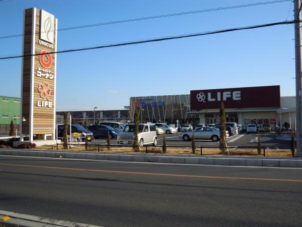 平沼ハイツ(ライフ吉川栄町店)