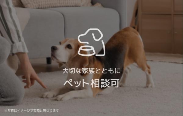 イル　ソーレ
