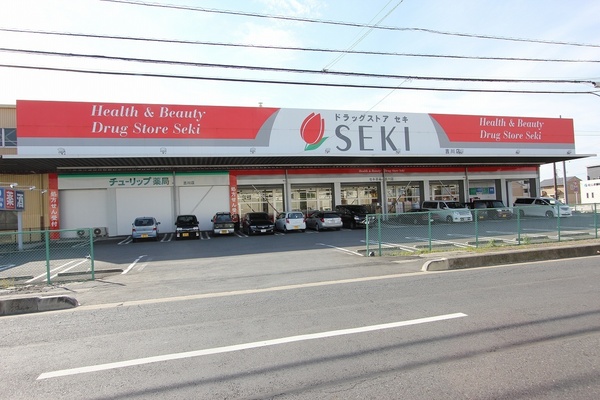 プログレス(ドラッグストアセキ吉川店)