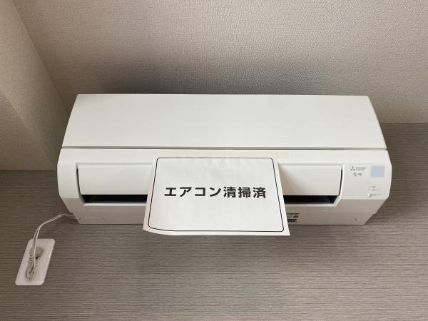 ルーチェ　スール