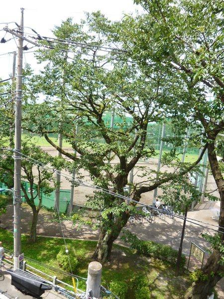 練馬区豊玉南３丁目のマンション