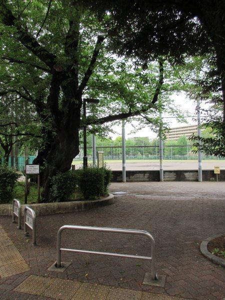 練馬区豊玉南３丁目のマンション