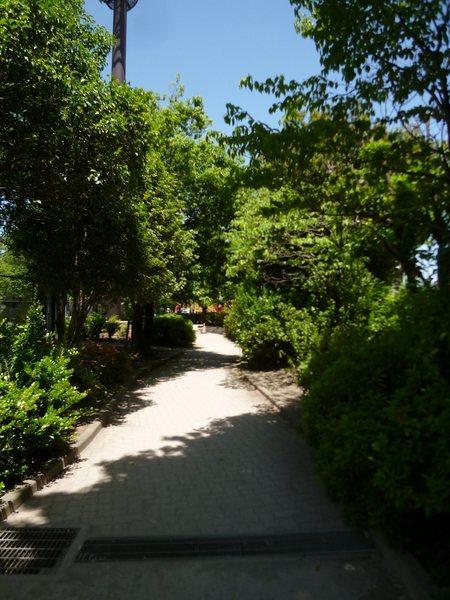 板橋区坂下２丁目のマンション(城北公園)