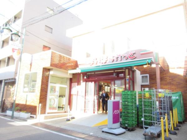 ヴィラルネサンス(まいばすけっと雑司が谷)