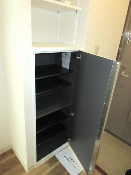 お茶の水スカイハイツ(収納)