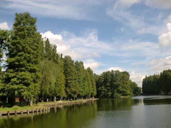 さいたま市南区鹿手袋２丁目のアパート(別所沼公園)