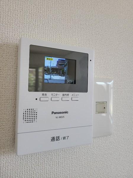 エバーグリーン