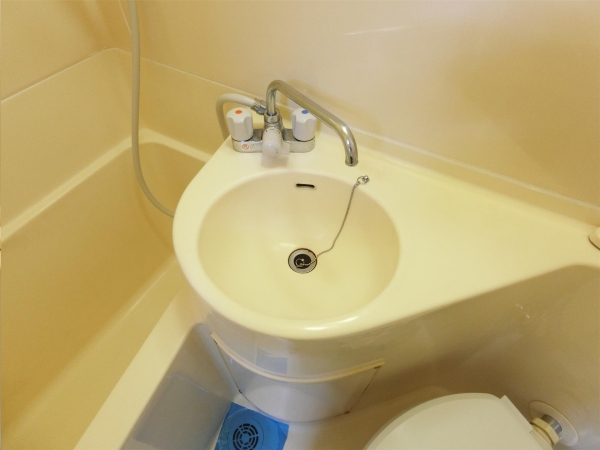 メゾン豊田(洗面台・洗面所)