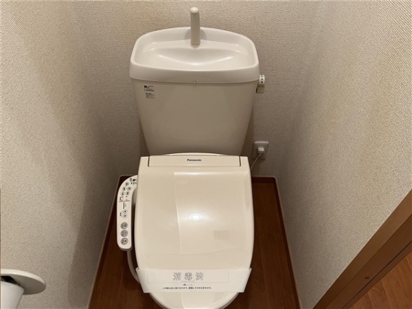 ナオネスティー