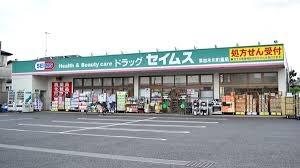 エスティ―ハウス(ドラッグセイムス草加氷川町店)