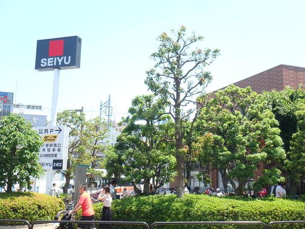ザ・パークメゾンＫ(西友竹の塚店)