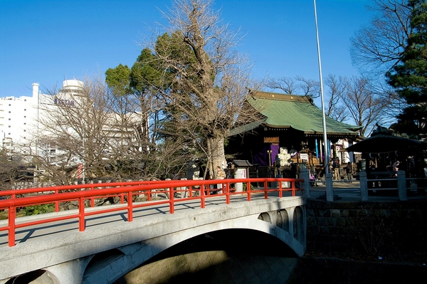 ヨコオビル(松戸神社)