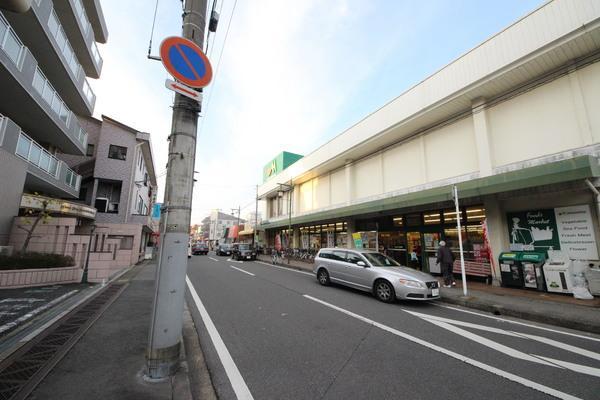 グランドールTM松戸(マルエツ　上本郷1)