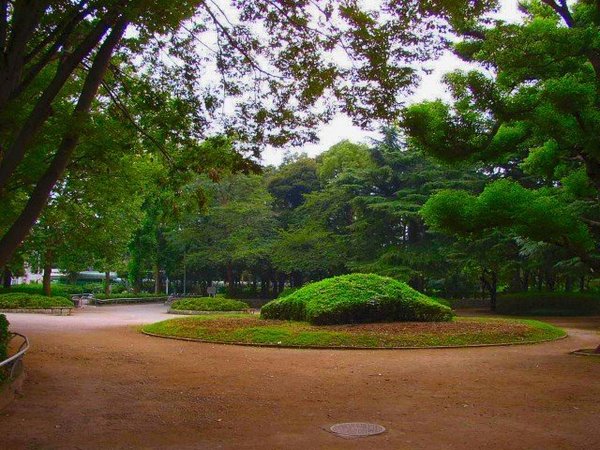 松戸パレス(松戸中央公園)