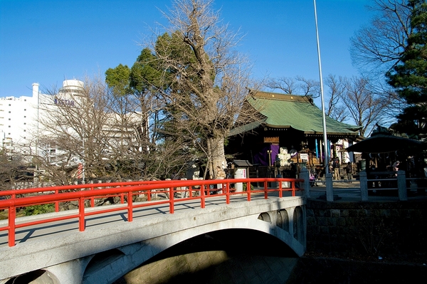 レオパレス松戸第7(松戸神社)