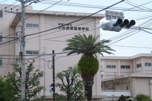 南ニューハイツ2(神奈川県立小田原東高校)