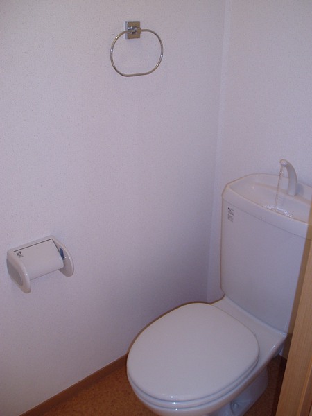 パルはつたか