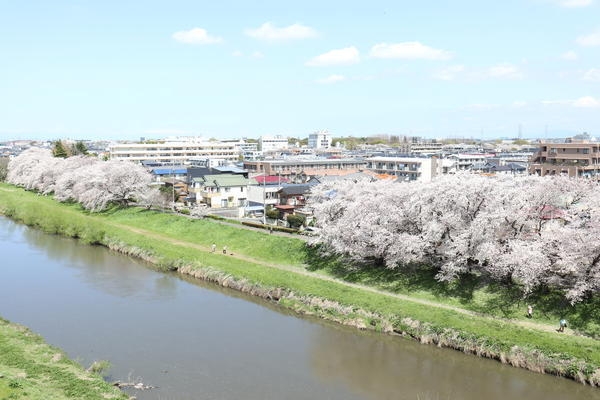 信栄荘(元荒川緑道)