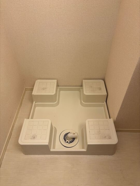 和紗II