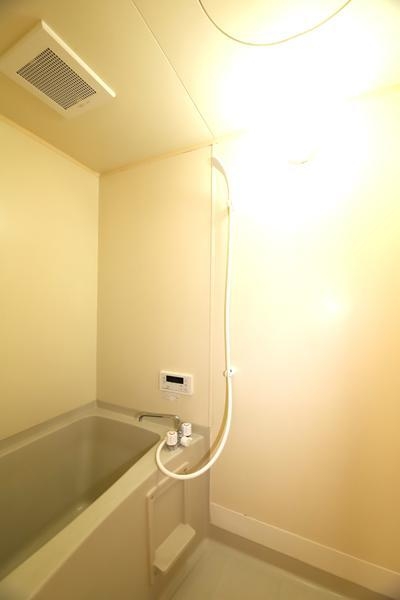 バーミリオンＤ