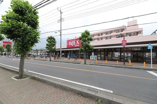 クラウンハイツ(ベルクス　草加手代店)