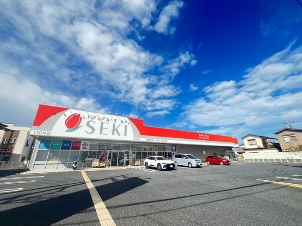 ピュア・ハイツ(ドラックストアセキ　蒲生店)