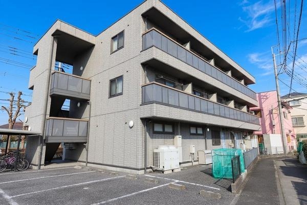 ラグドール