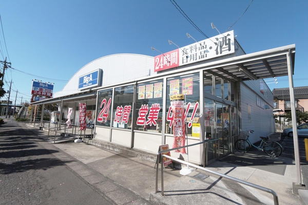 パナウィンディアB(ビッグ・エー越谷東大沢店)