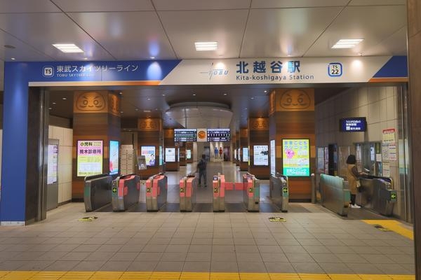 ジュネパレス北越谷第２(北越谷駅)