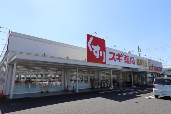 第2高崎コーポ(スギドラック　越谷花田店)