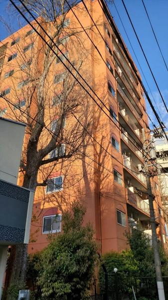 クオリティ大山