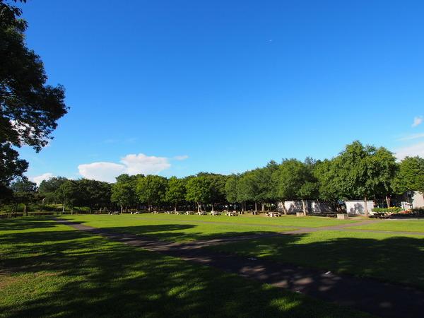 高州3丁目戸建　8号棟(埼玉県立みさと公園)