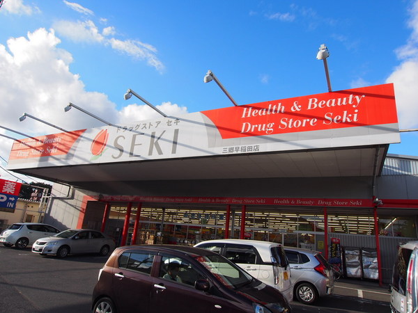 斉藤ビル(ドラッグストアセキ三郷早稲田店)