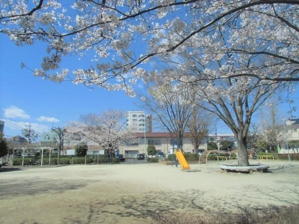 グリーンマンションA(めじろ公園)