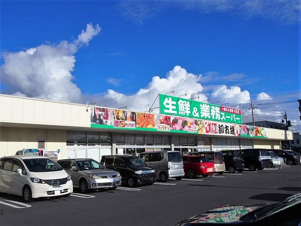 サニーハイツU(業務スーパー三郷店)